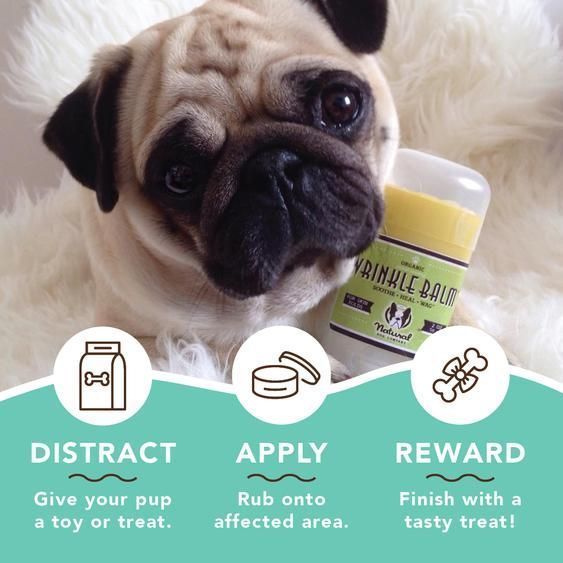 natural DOG COMPANY  シワ用バーム 59mlスティック
