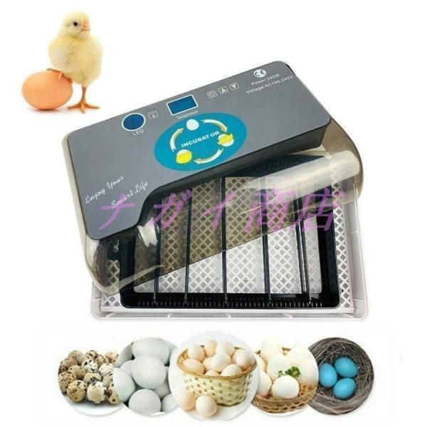 鳥類全自動孵卵器 インキュベーター 孵卵機 ふ卵機 自動孵卵器 鳥類全自動孵卵器 インキュベーター 孵卵機 ふ卵機 自動孵卵器