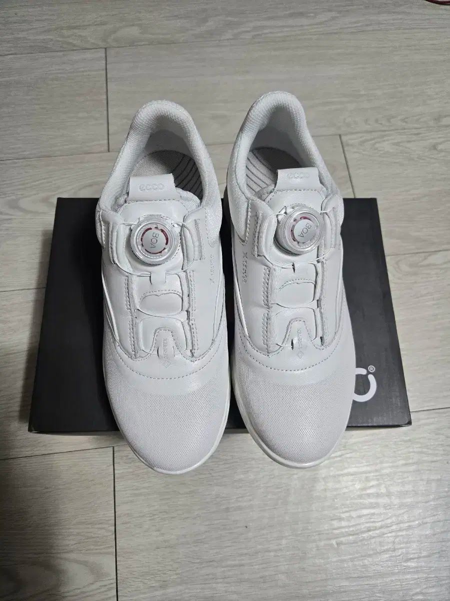 エコ ゴルフシューズ ボア SYSTEM システム 240 女