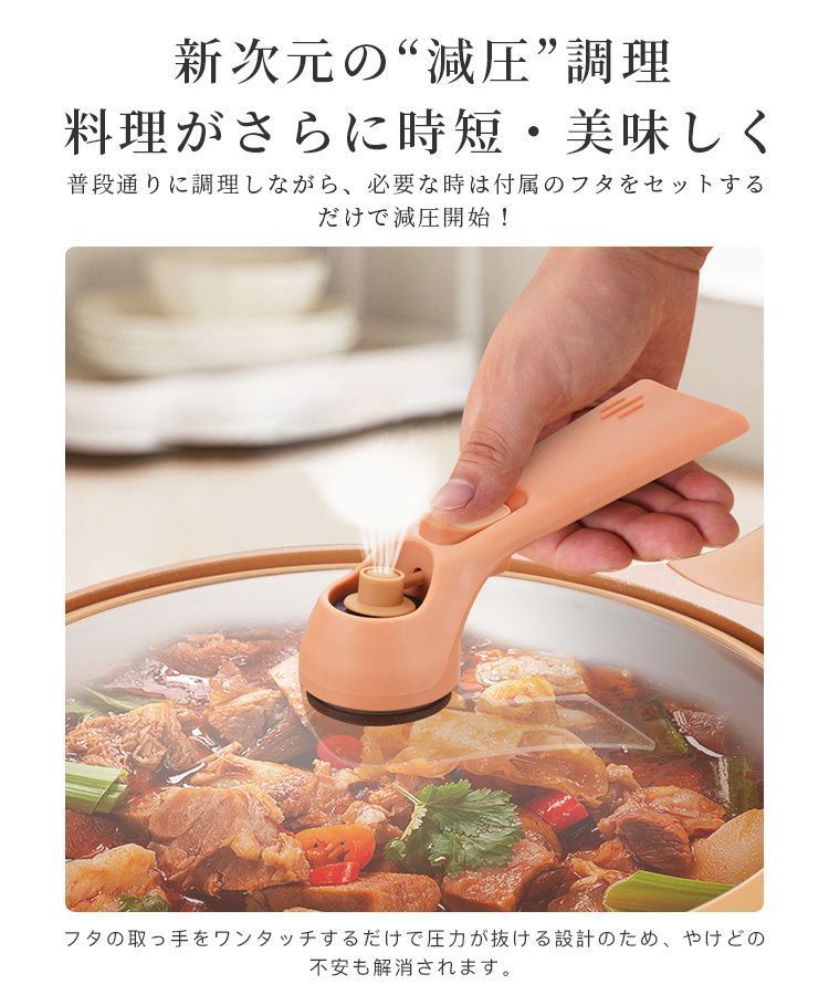 visions 鍋 新品 VISION ビジョン 片手鍋・両手鍋セット 直径約20m