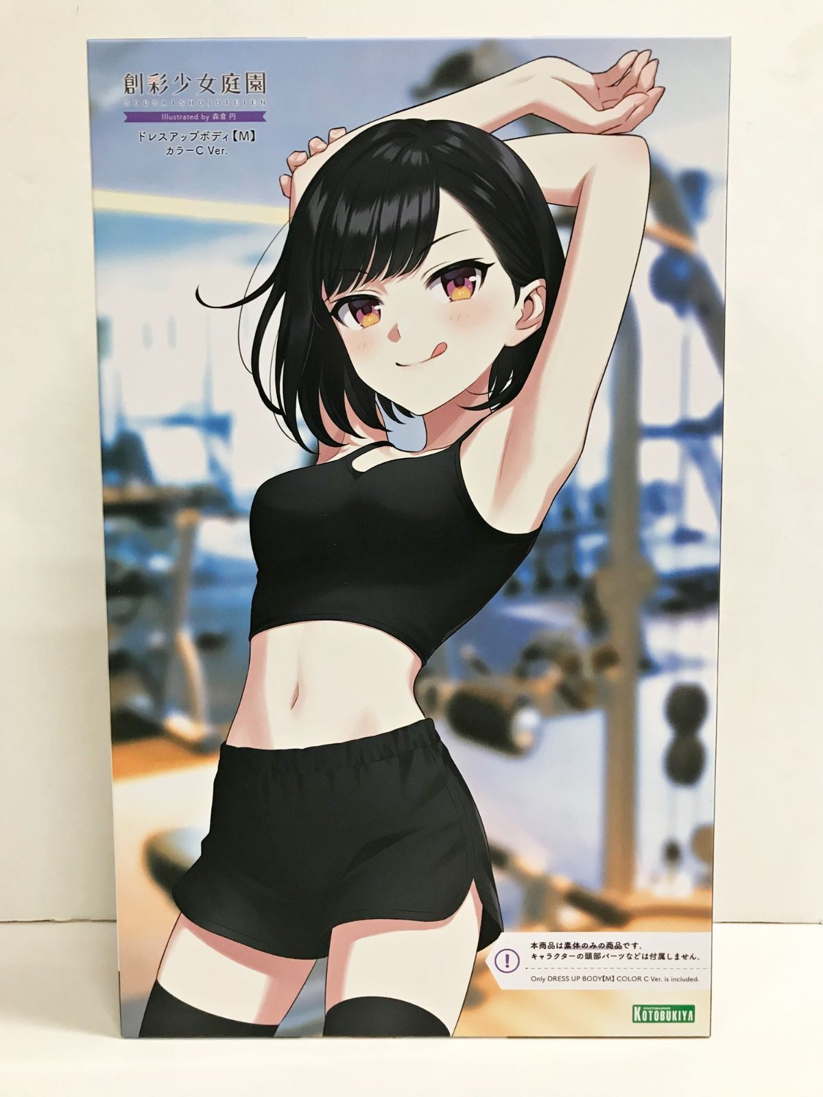34.【未組立】1/10 ドレスアップボディ【M】カラーC Ver. 創彩少女庭園 