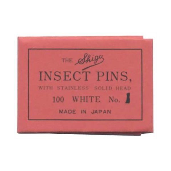 ヘラクレスオオカブトの特大標本 D.hヘラクレス 大型 野外標本