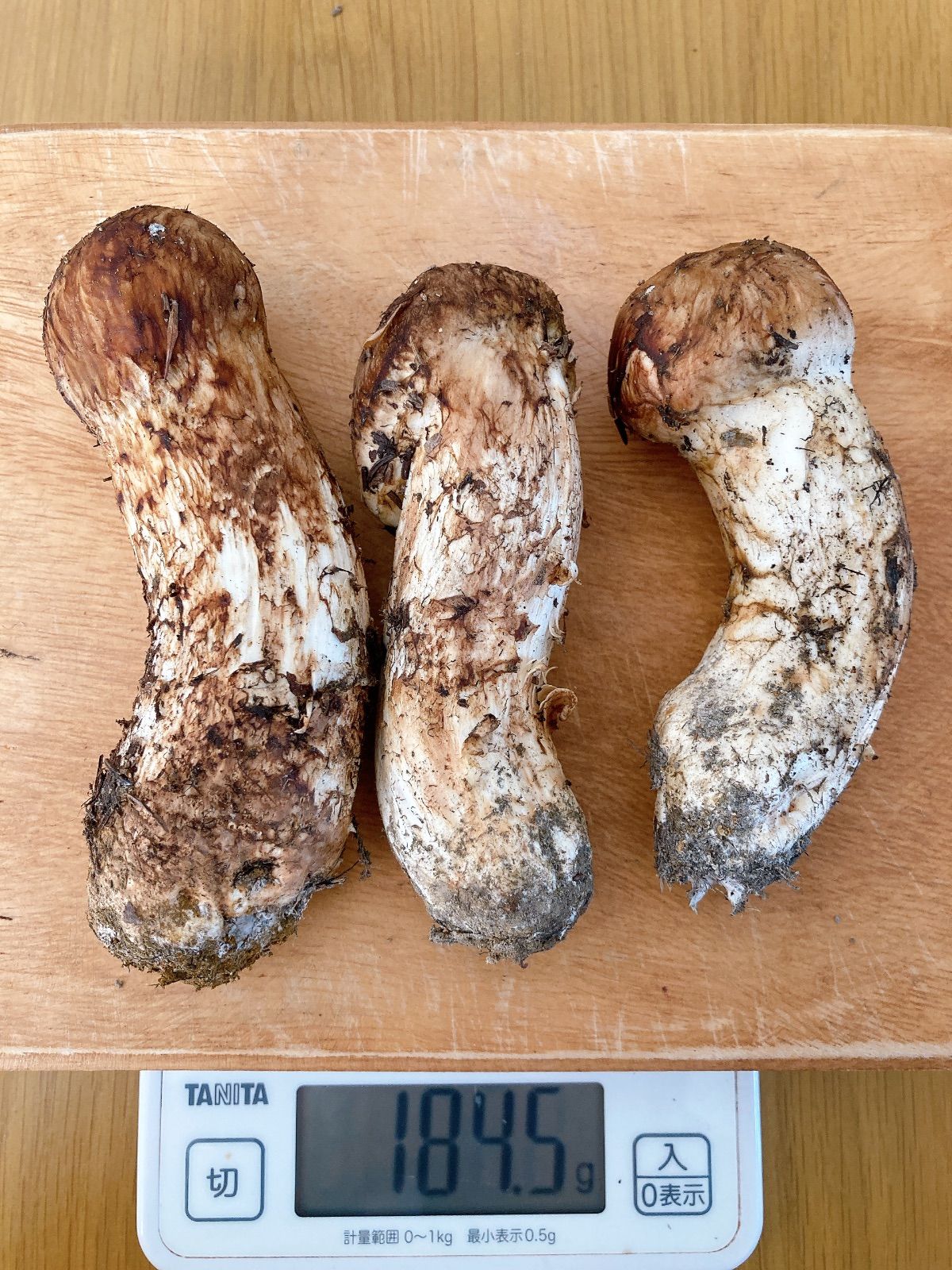 1キロ 北海道産松茸 クール便込み 【公式通販】