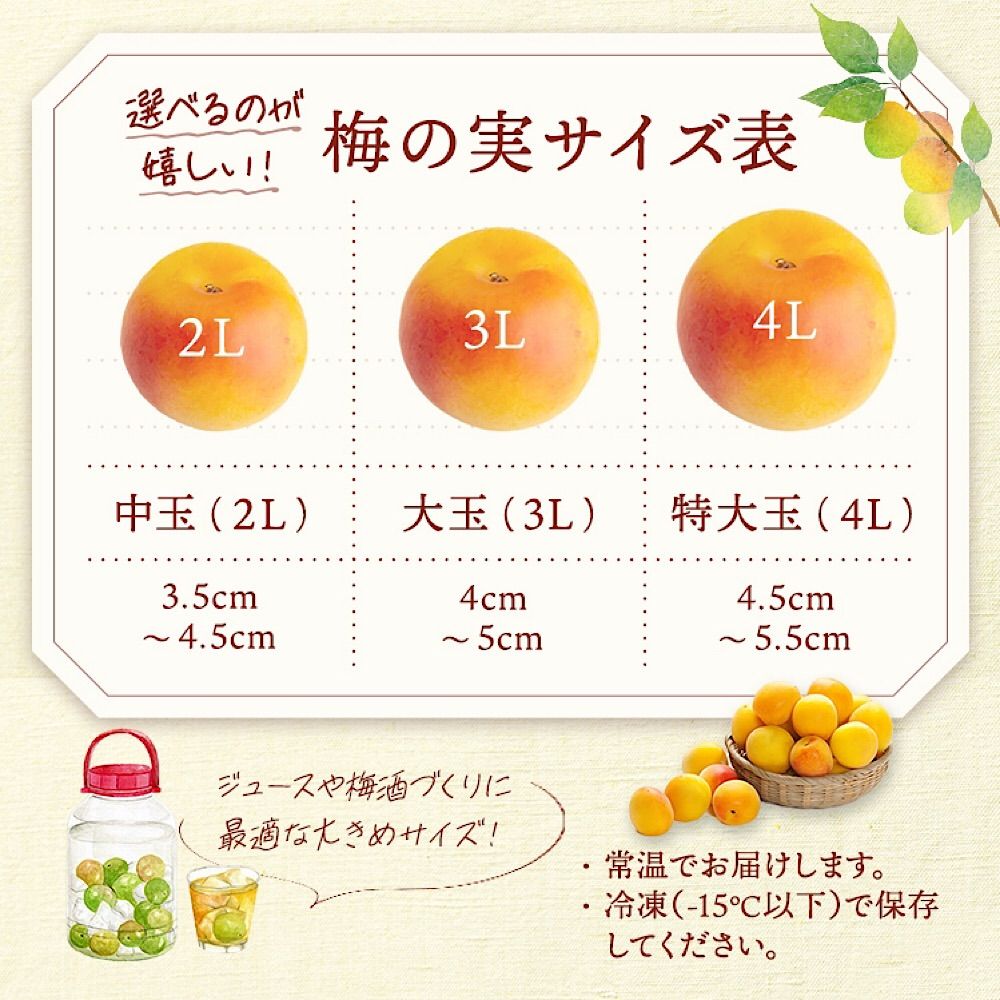 紀州南高梅