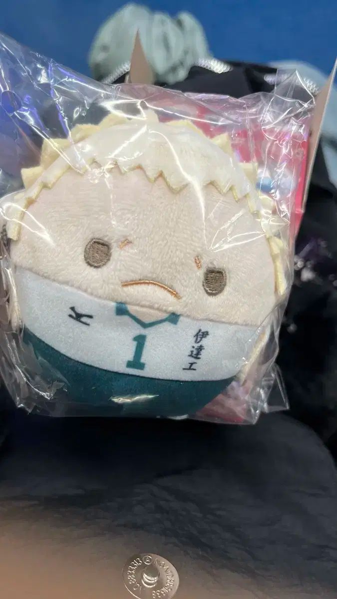 ハイキュー！！ デートゴンゴ アオネ 人形