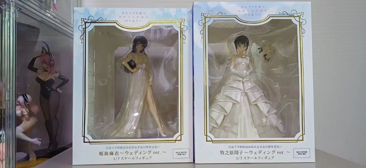 お買い得レア☆未開封フィギュアまとめ売り！16 9 月 16 ワーキング まで 販売) アニプレックス 青春 ブタ