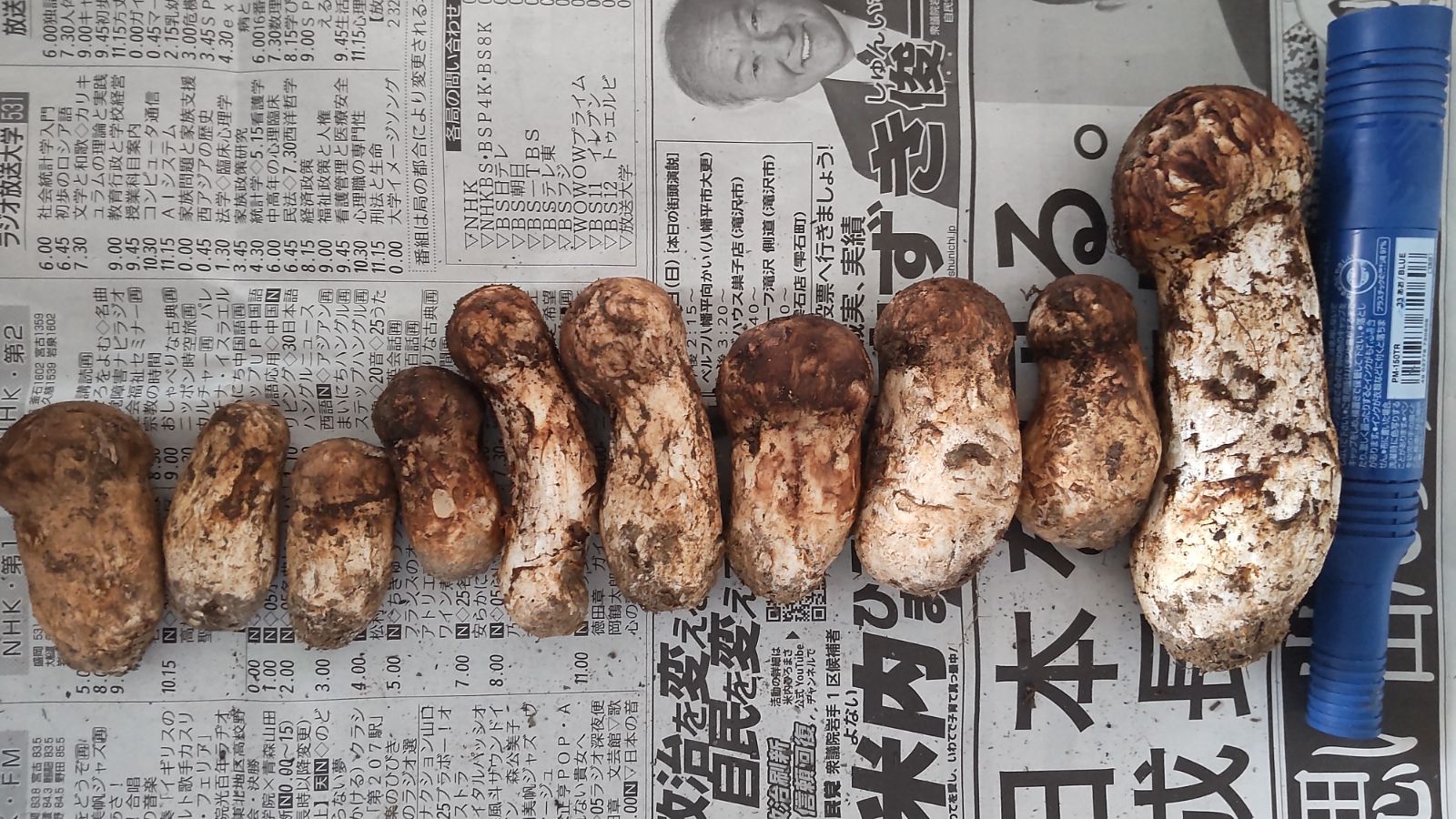 岩手県産松茸訳あり 【公式通販】 岩手県産松茸訳あり 【公式通販】