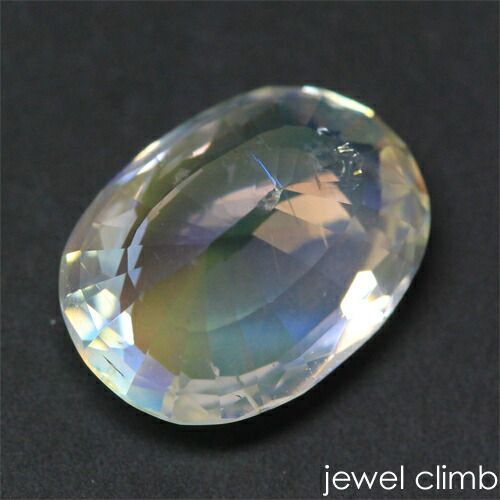 コレクションお譲り致しますm(_ _)m　珊瑚　珊瑚礁　キクメイシ　貝殻　鑑賞石 コレクションお譲り致しますm(_ _)m 珊瑚 珊瑚礁 キクメイシ 貝殻 鑑賞石