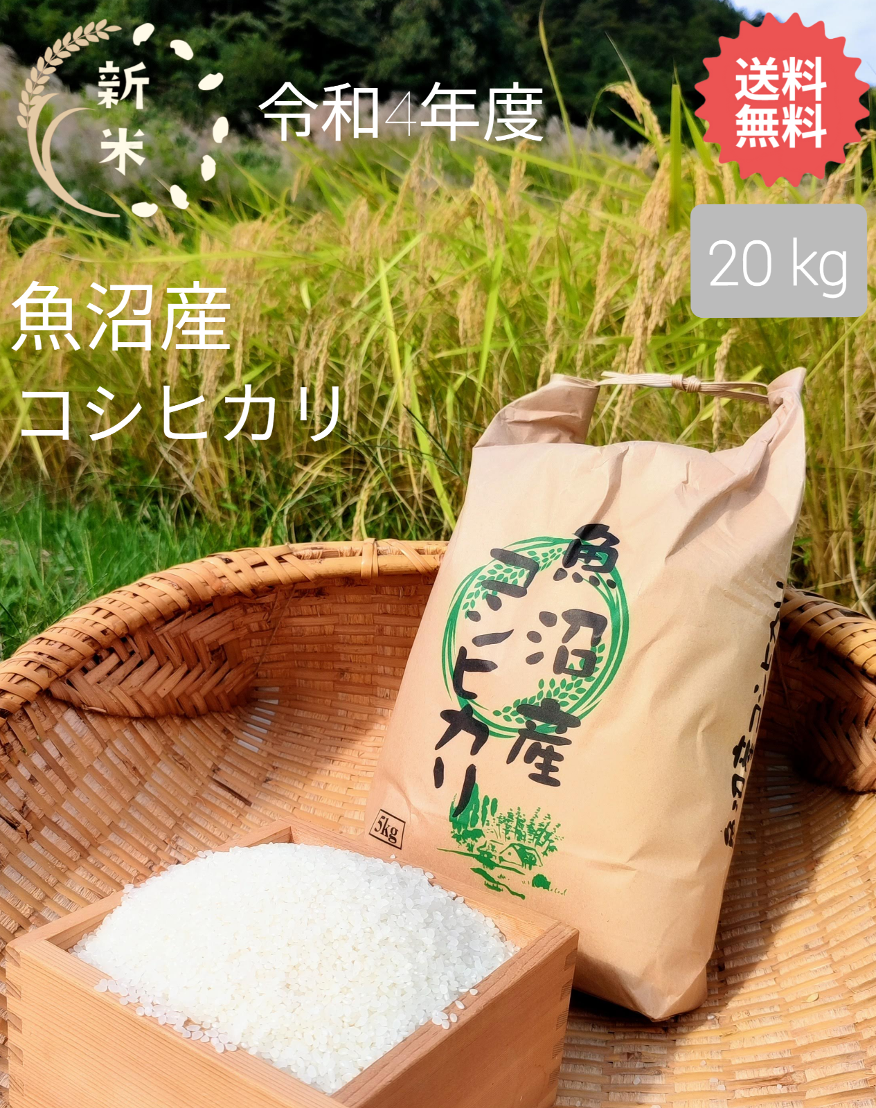 最高級のスーパー 令和4年度 栃木県産 コシヒカリ 2kg 米 農家直送