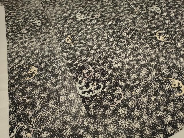 平和屋着物＊夏物 小紋 絽 立波文 正絹 AABC6925jd NICORILABO_COM