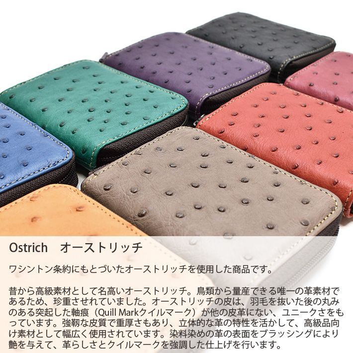 セール　ファニー　コインケース 新品未使用　グリーン　オーストリッチ セール ファニー コインケース 新品未使用 グリーン