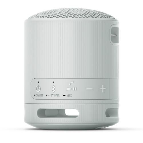 SRS-XB100
