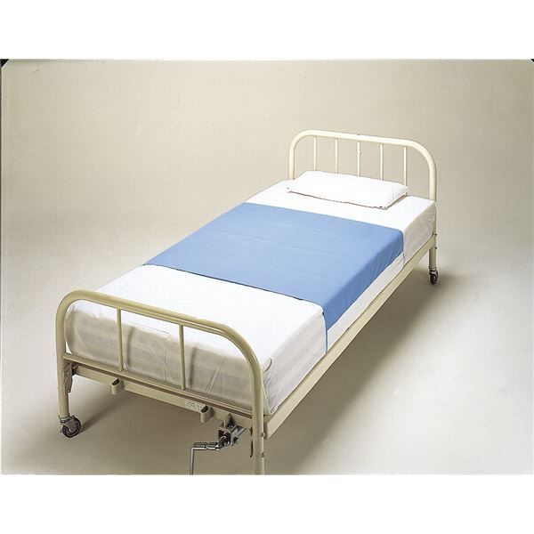 lss.lifestory様専用 山梨県産シャインマスカット5kg✖️3ケース