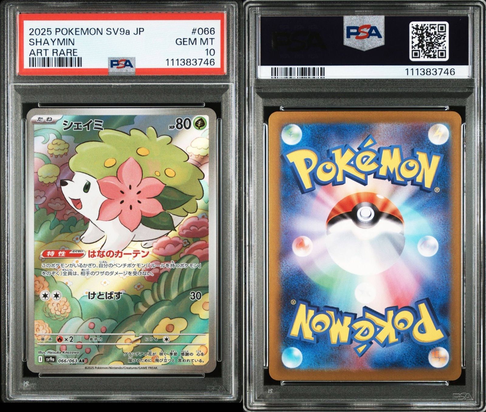 ポケモンカード　熱風のアリーナ　シェイミAR PSA10 美品 PSA10】 シェイミ AR 熱風のアリーナ - メルカリ