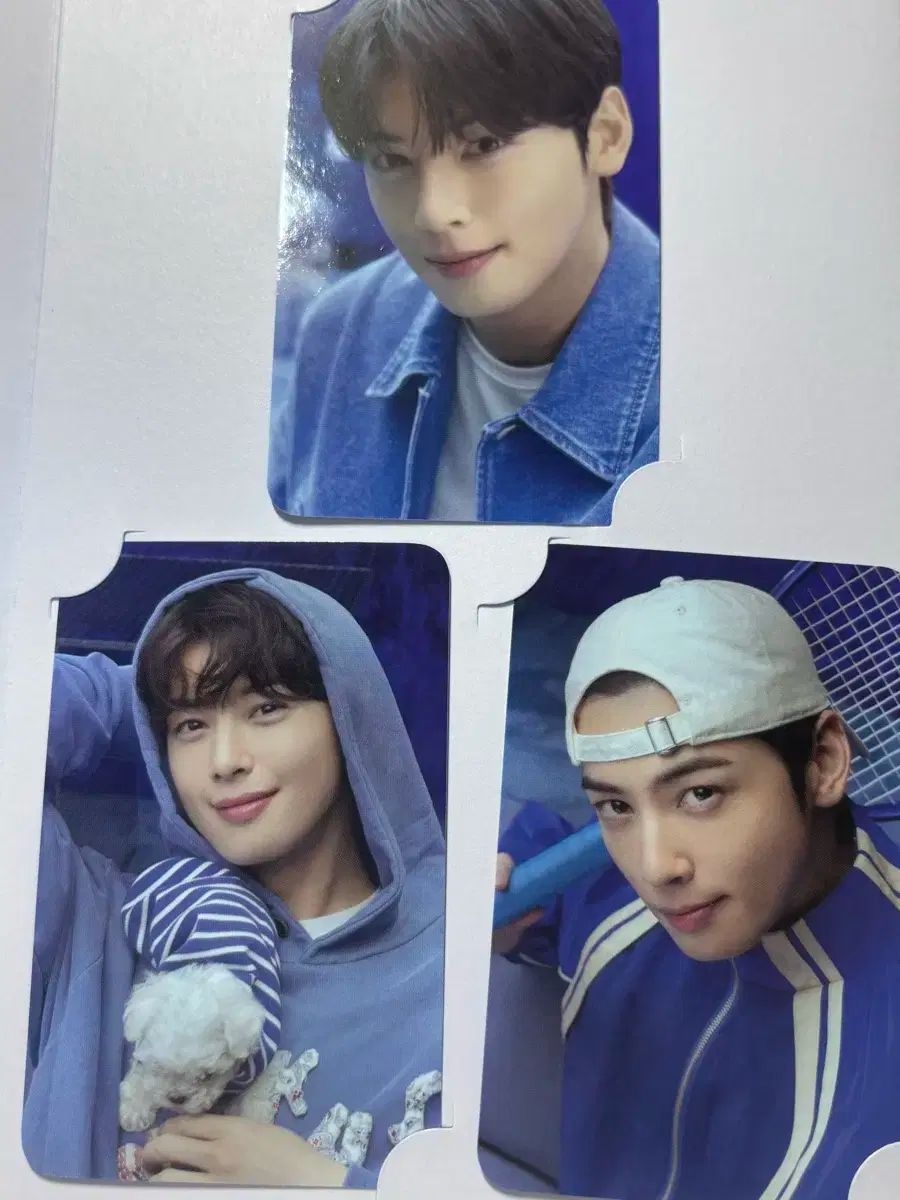 CHA EUNWOO チャウヌ シンガポール 公演限定 トレカ ASTRO Cha Eun-Woo 2024 Official Fanclub Special Kit