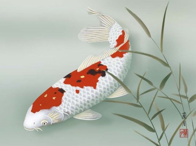 遊鯉　額 種類1：f4 額絵 吉井蘭月 遊鯉 f8・f6・f4サイズ 現代日本画