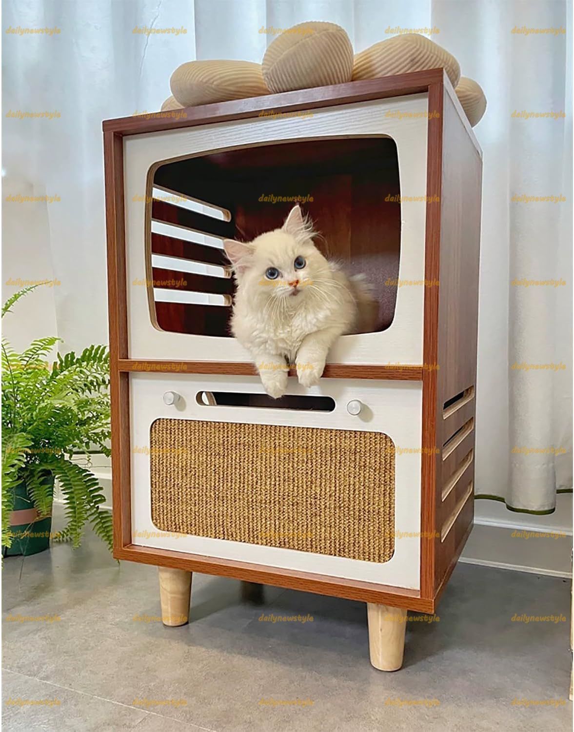 1木製コンドミニアム屋内猫