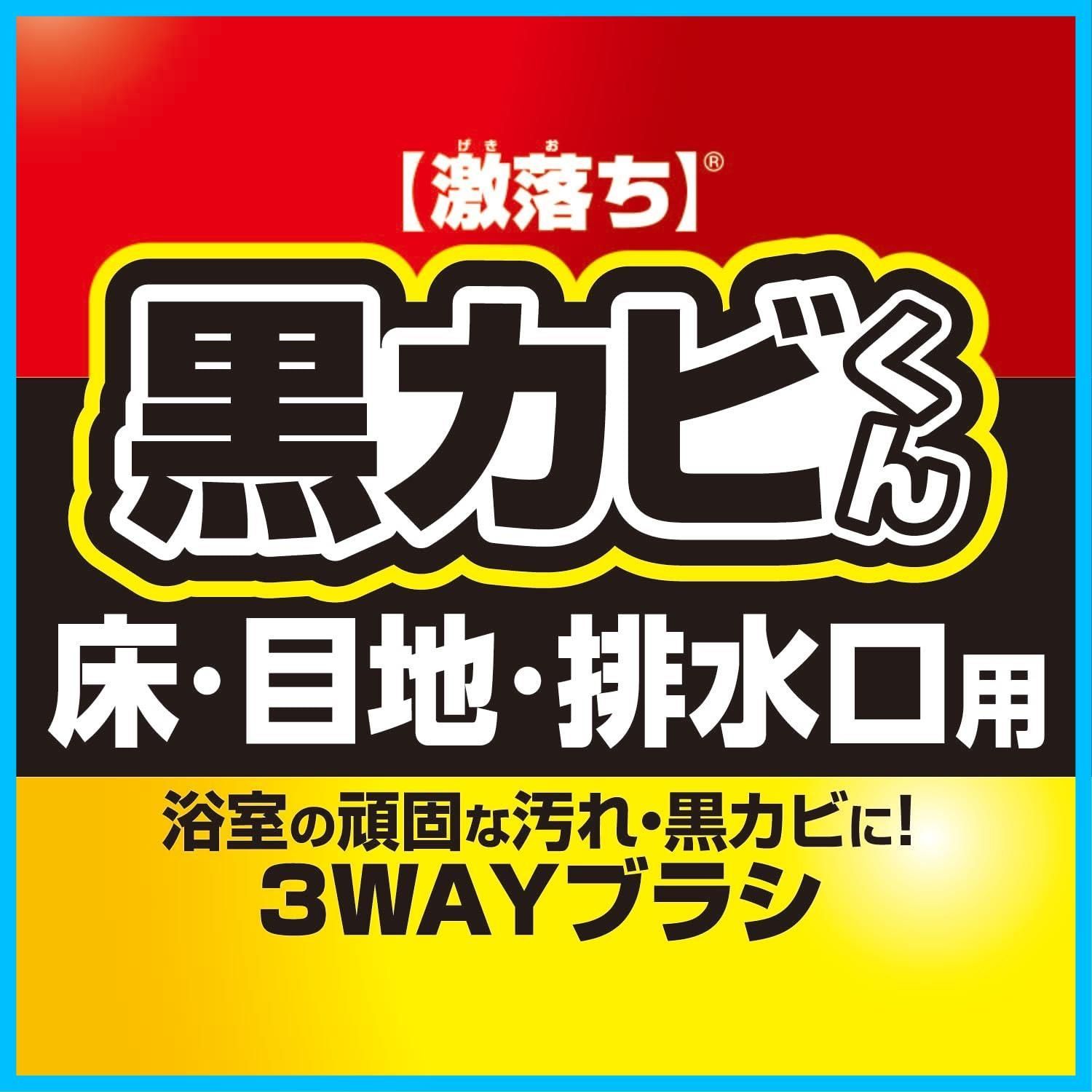 レック 激落ち