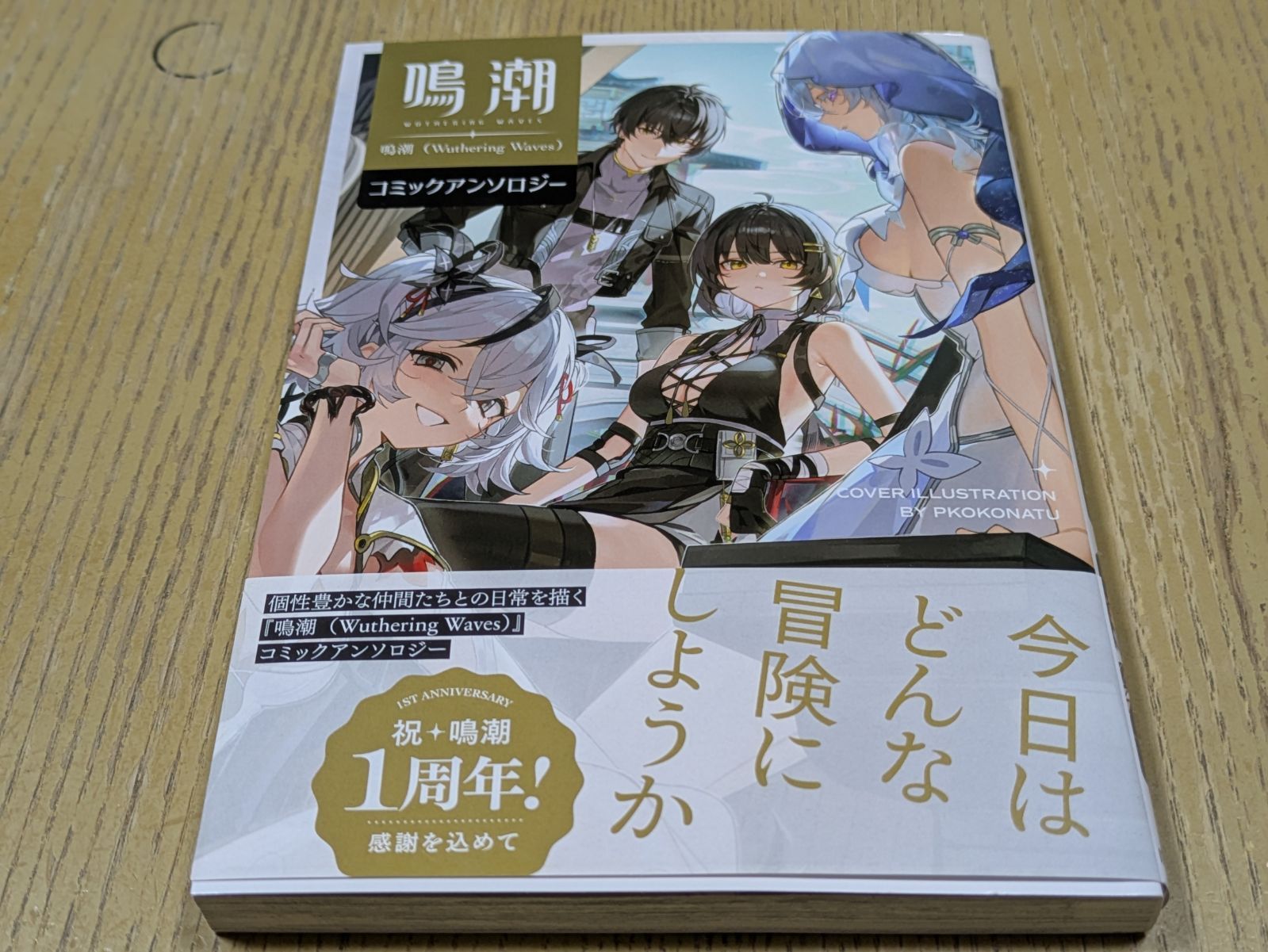 鳴潮 wuthering waves 1st 　ブラントまとめ売り 鳴潮 wuthering waves 1st ブラントまとめ売り 鳴潮 (Wuthering