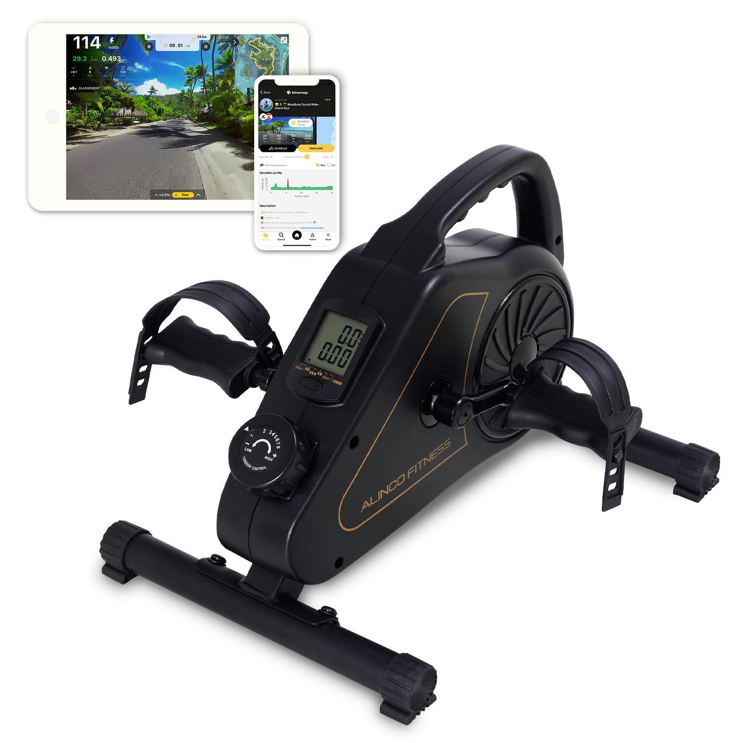 在庫 アルインコ ALINCO フィットネスバイク エアロマグネティックバイク ミニ 小型 健康器具 ダイエット器具 家庭用 静音 軽量 コンパクト 省スペース 簡単移動