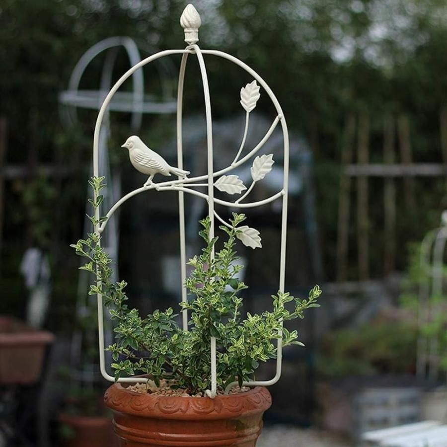 庭の植物の花のつるローズバインズ植物を登るために トレリス花のサポート