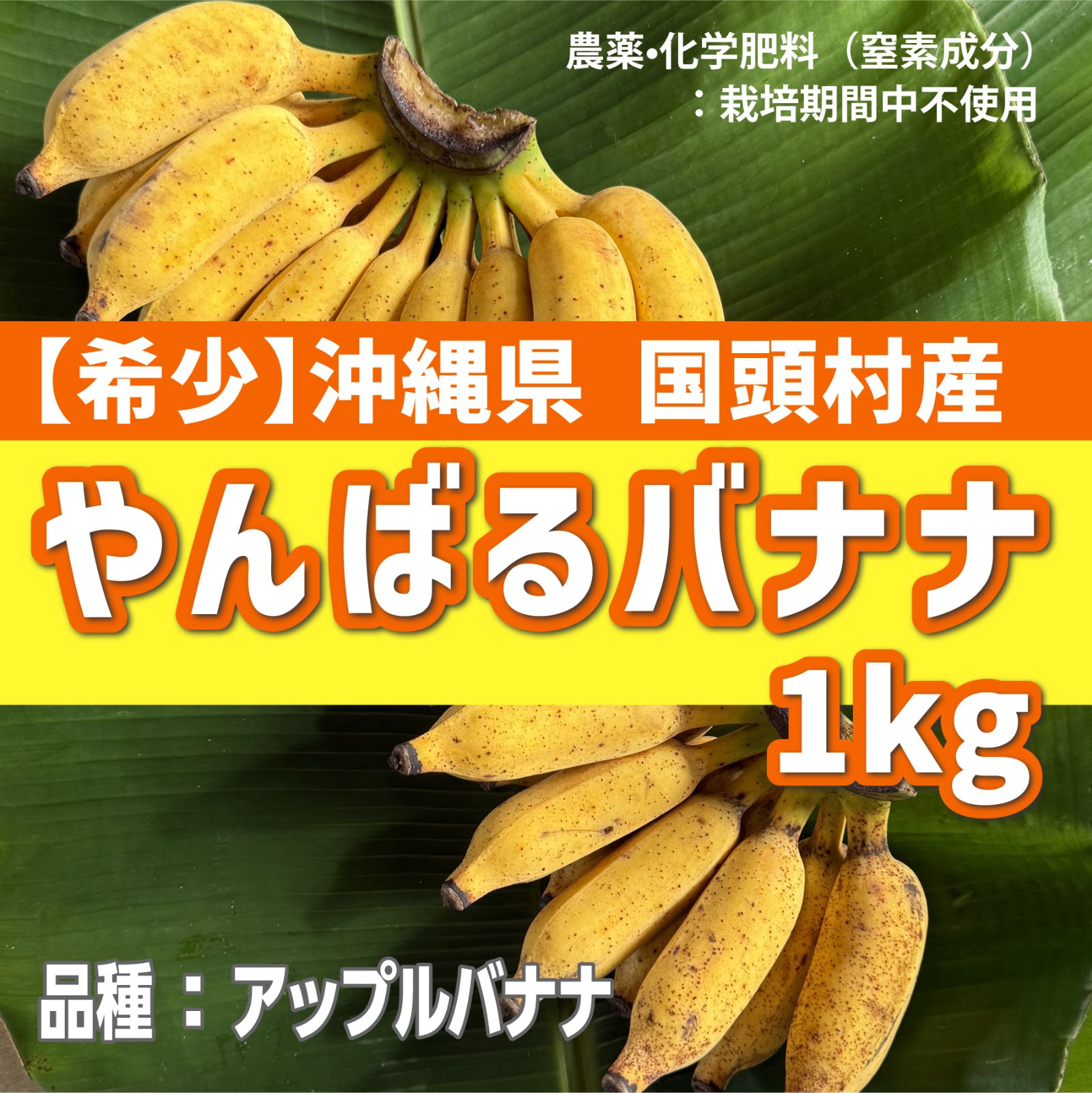 希少】アップルバナナ 1kg（沖縄・国頭村）※農薬•化学肥料（窒素