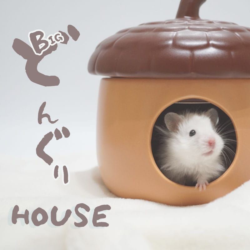 【すぐ届く】ハムスター 陶器 ハウス どんぐり でっかい 陶器 暑さ対策 ひんやり ハウス ゴールデンハムスター キンクマハムスターケージ インテリア 小動物用 陶器 ハウス