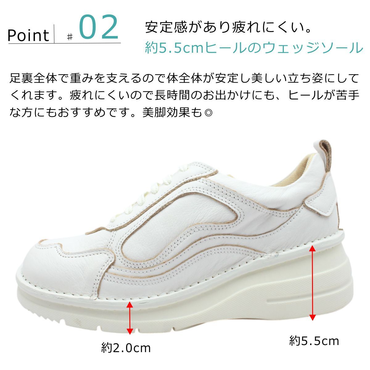 レディース