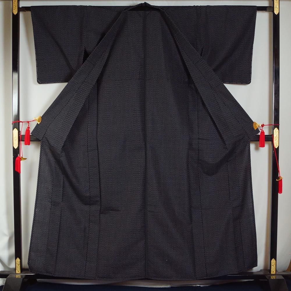 夏着物　紗紬着物 新品 紗紬 夏着物“おとな色に風情を奏で心癒して夏芭蕉”正絹