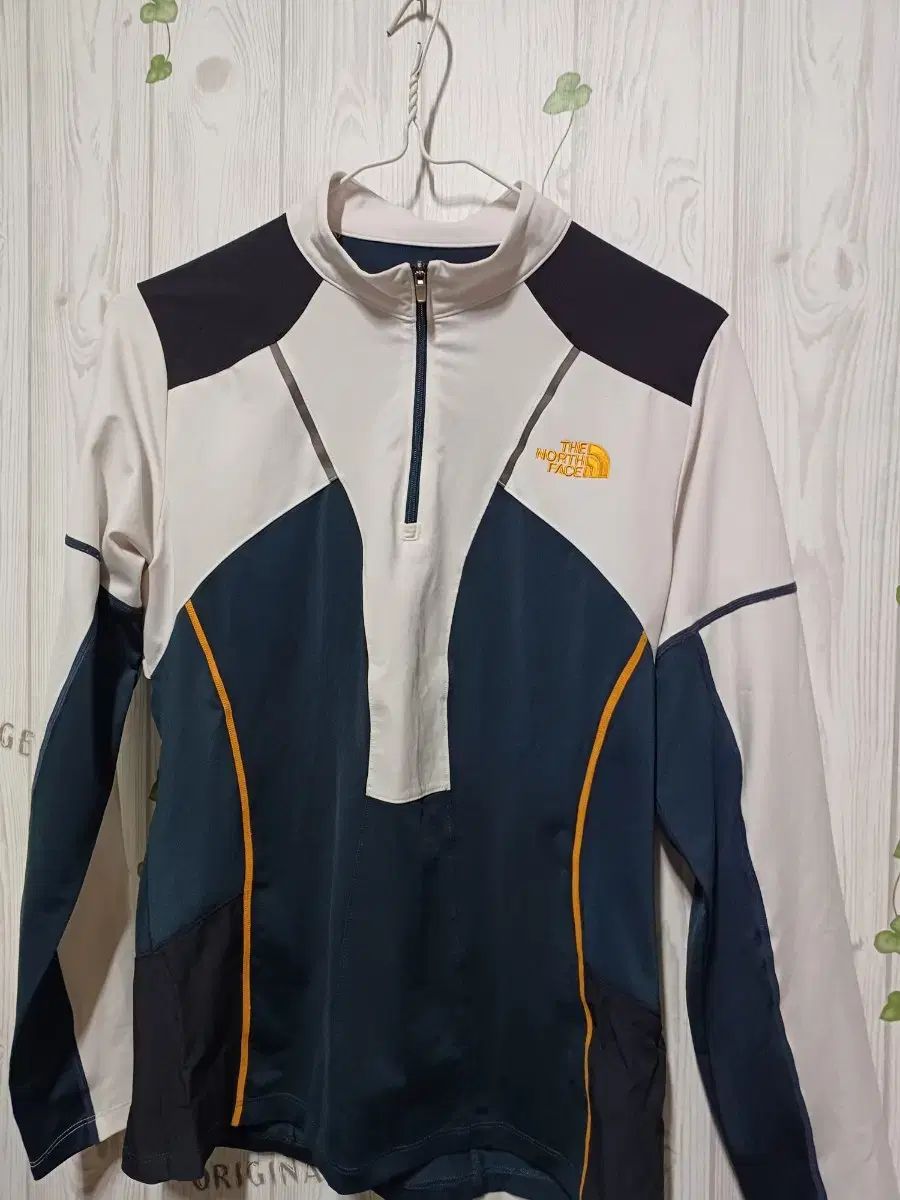 THE NORTH FACE ザ ノース フェイス 女性用ハイキング t シャツ 85M