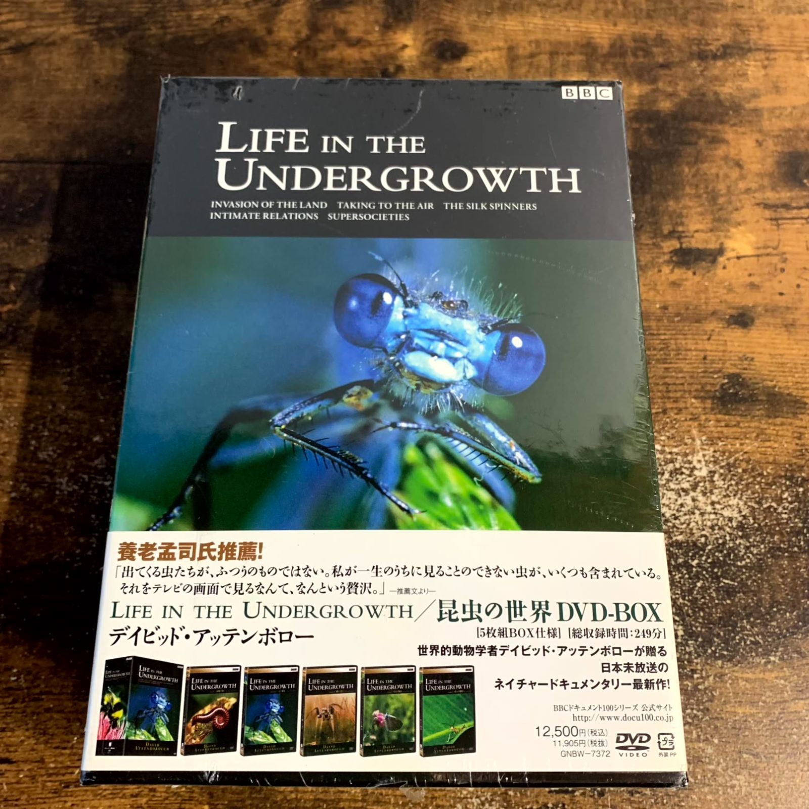 BBC ライフ・イン・ザ・アンダーグロウス/昆虫の世界 DVD-BOX(品