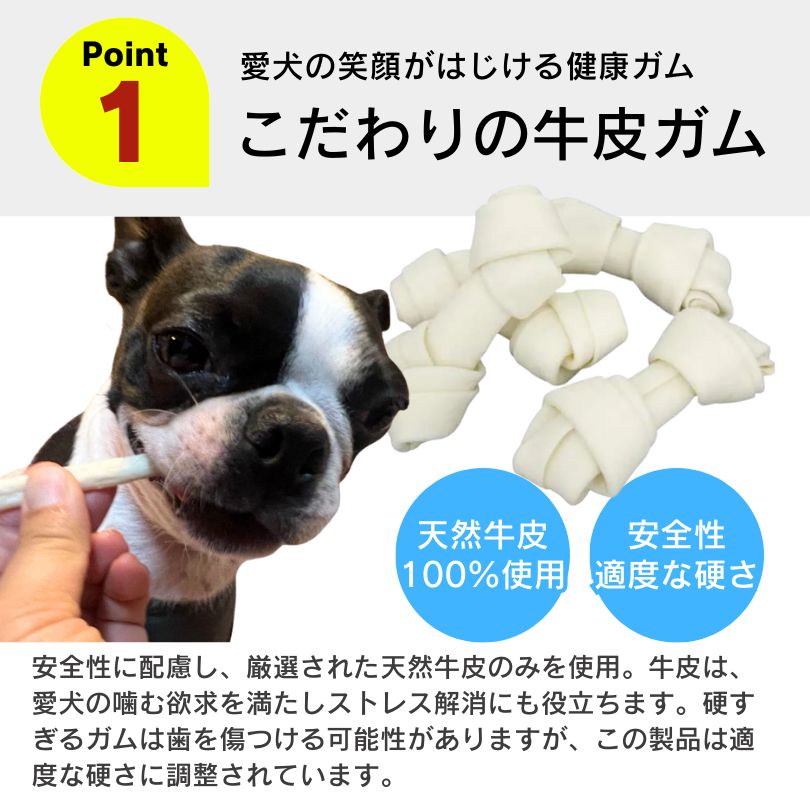 中型犬 大型犬