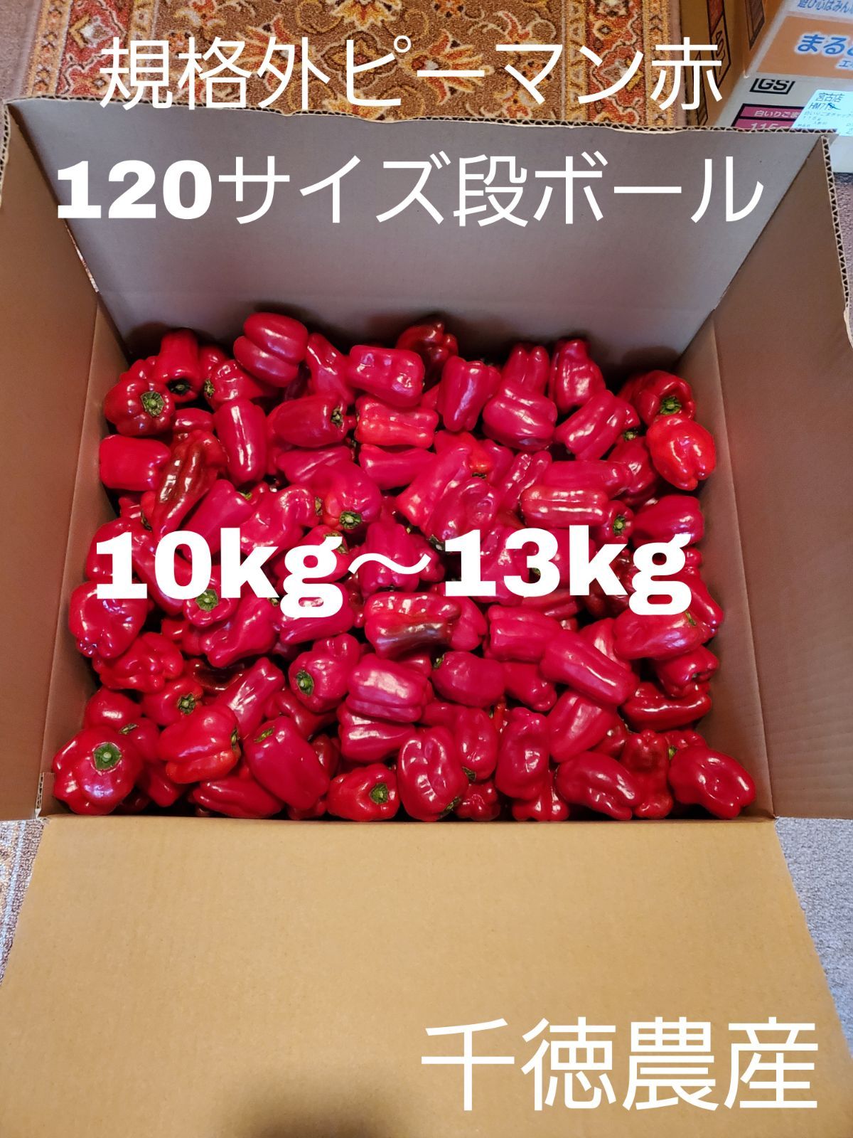 規格外赤ピーマン10kg 岩手県産 訳あり野菜 - メルカリ