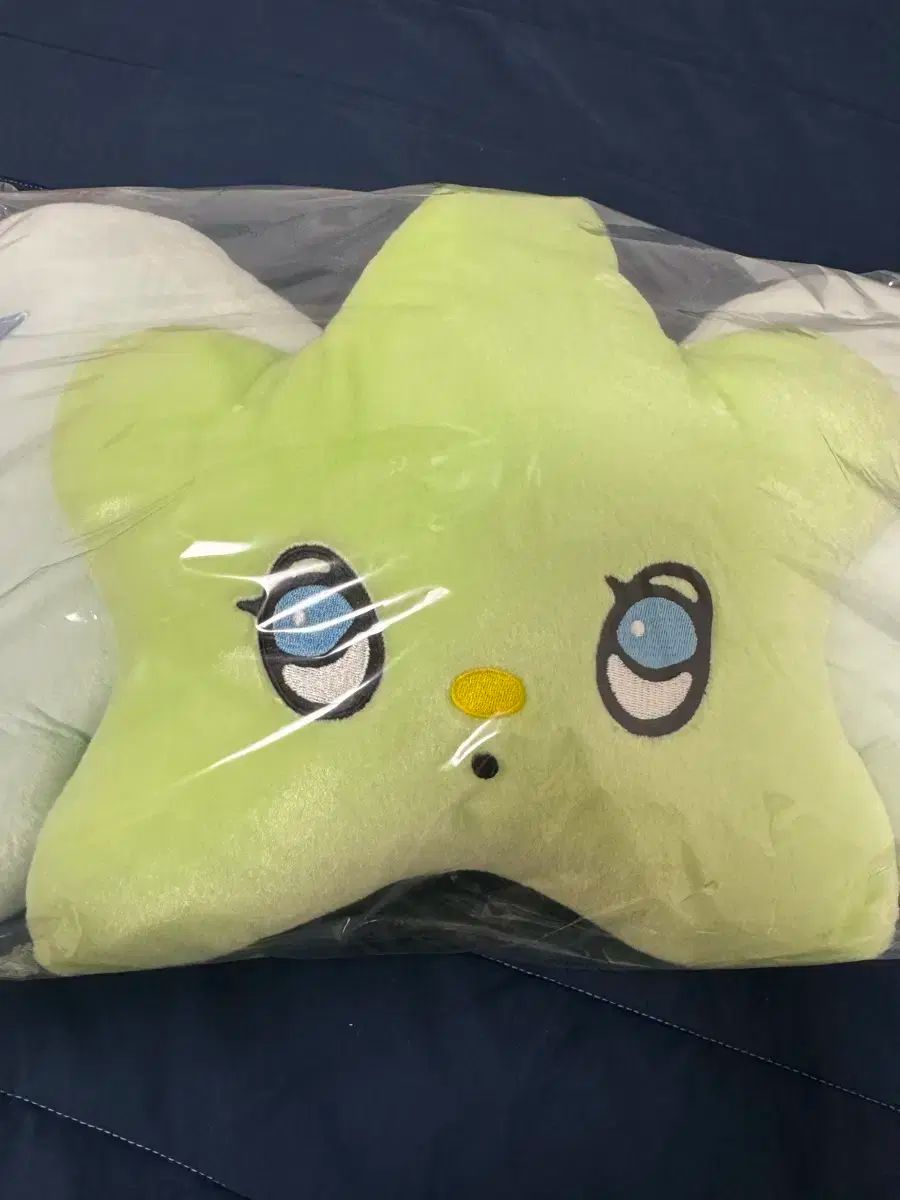 現物 ウィッチョクッション フォカ付き エンシティウィッシュ nctwish