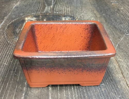 文山 3.5号4点セット 朱泥窯変 さつき鉢 箱入 和風 植木鉢