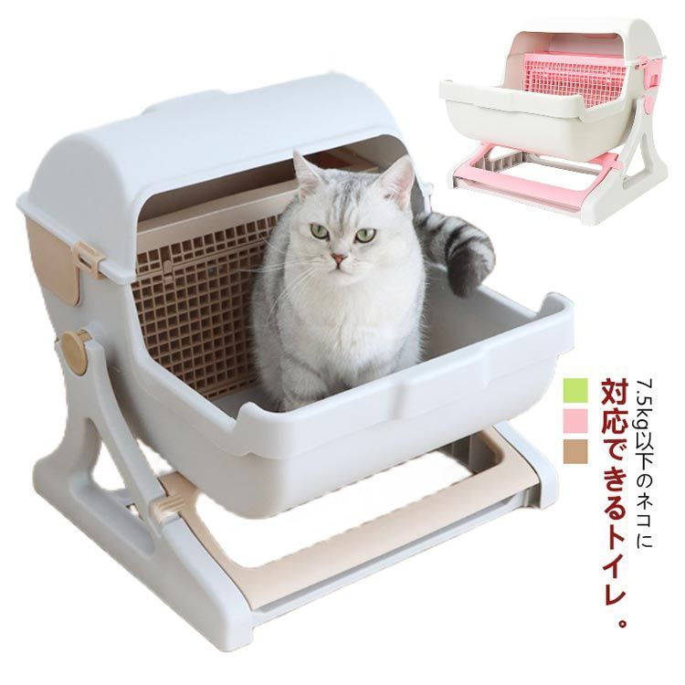 ねこ ネコ