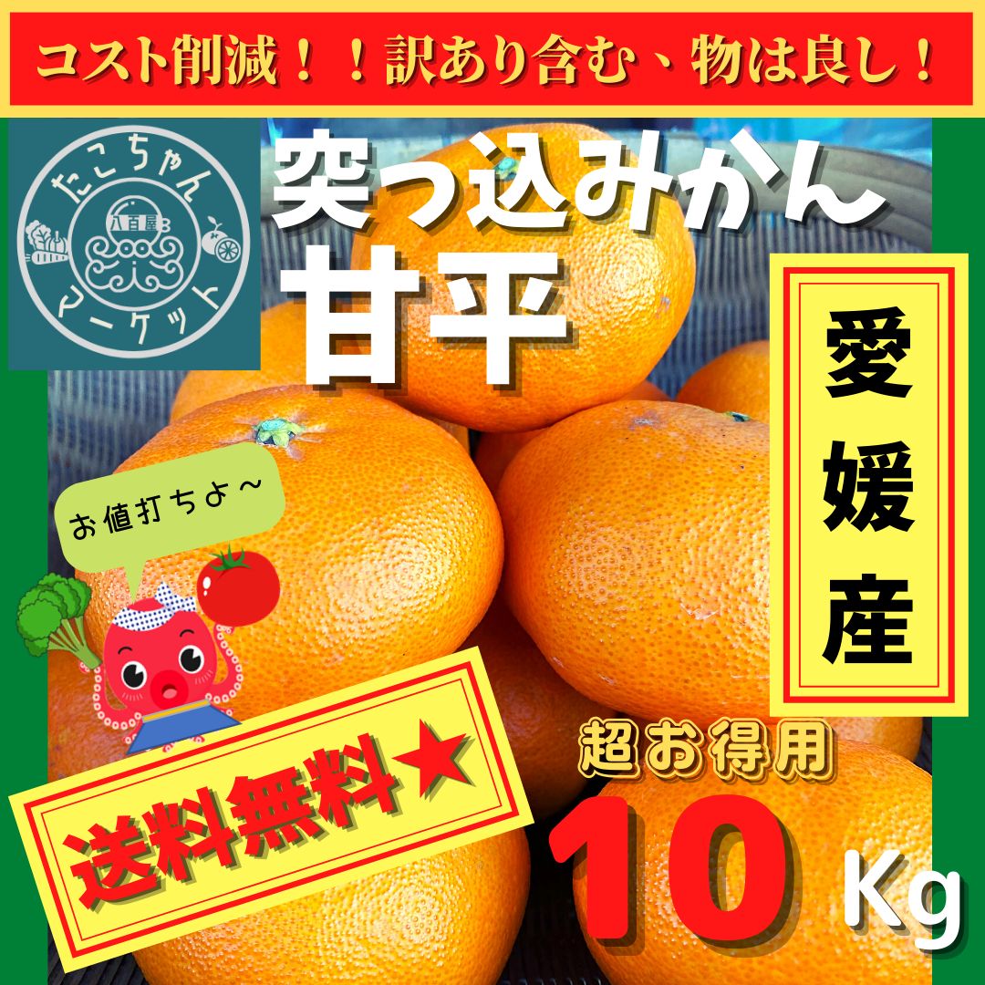 愛媛県 甘平 柑橘 10kg - 果物