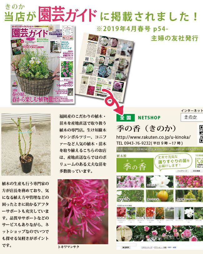 植木