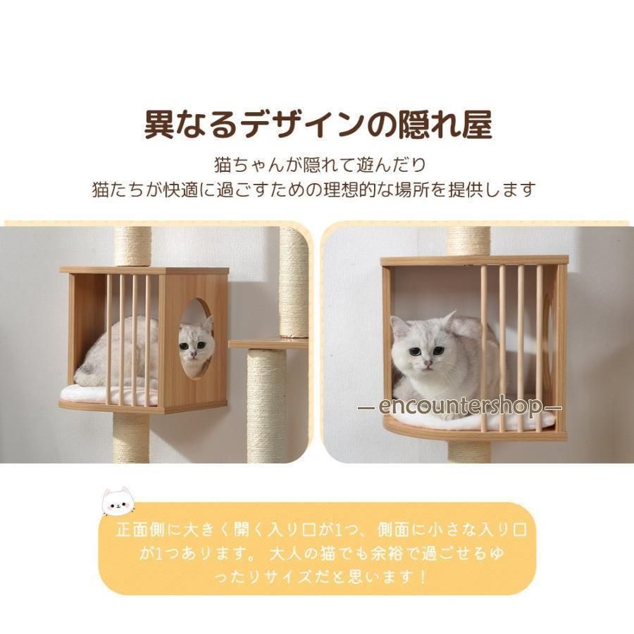 ファッショ