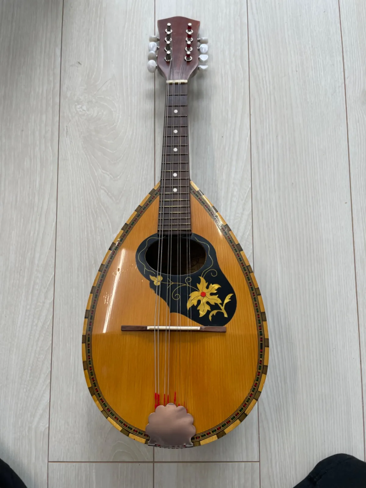 ムシカリア Musikalia マンドリン イタリア製 【公式通販】