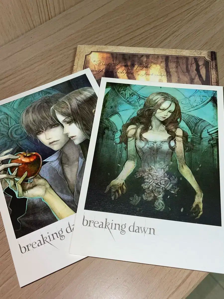 トワイライト ミッドナイト・サン 全13巻セット まとめ売り 2025年最新