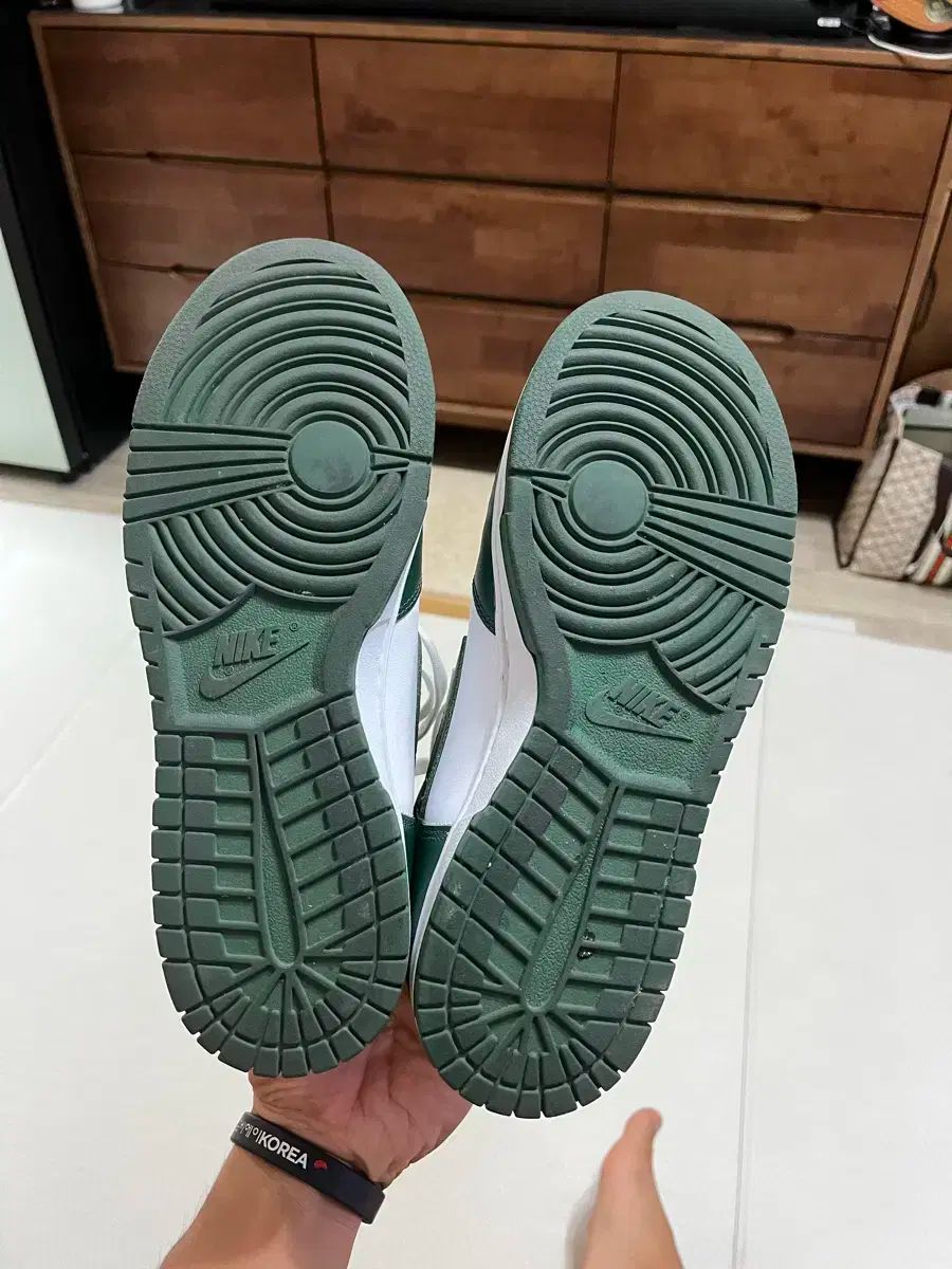 NIKE ナイキ ダンク ハイ レトロ ノーブル グリーン 270