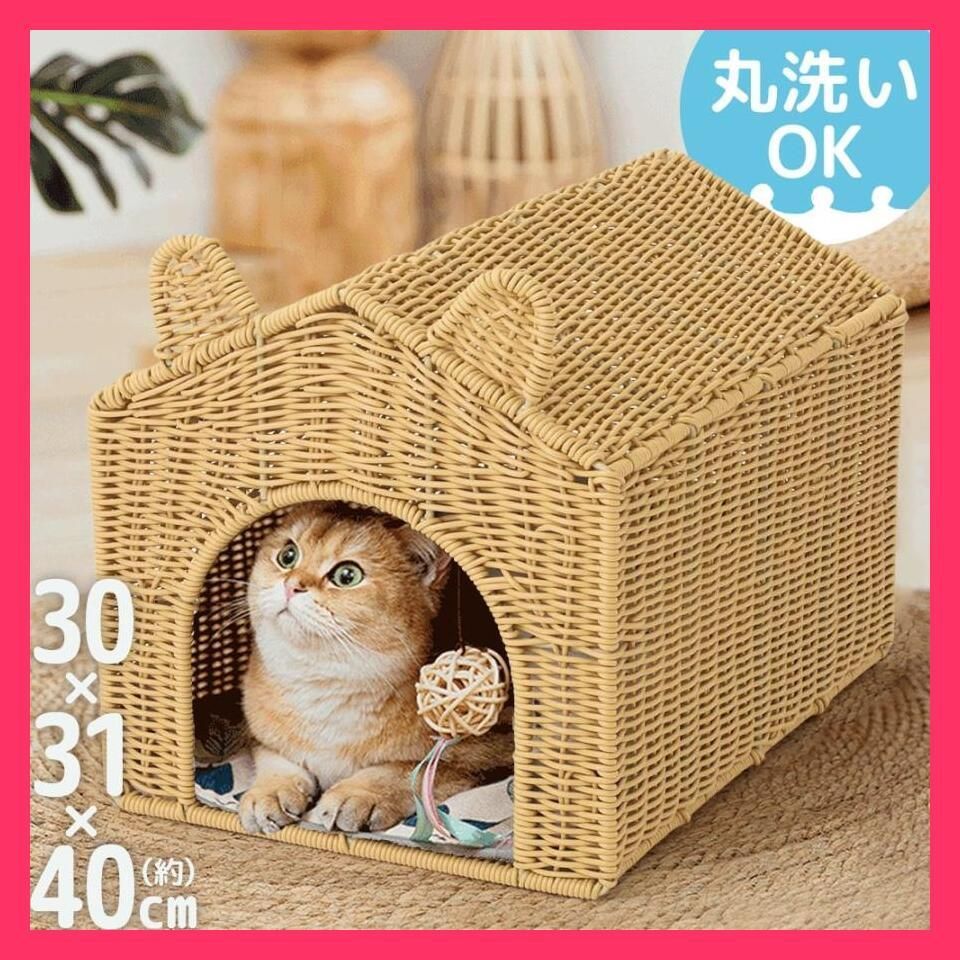 キャットハウス