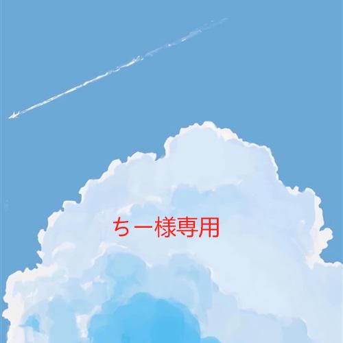 ちー様専用 - メルカリ