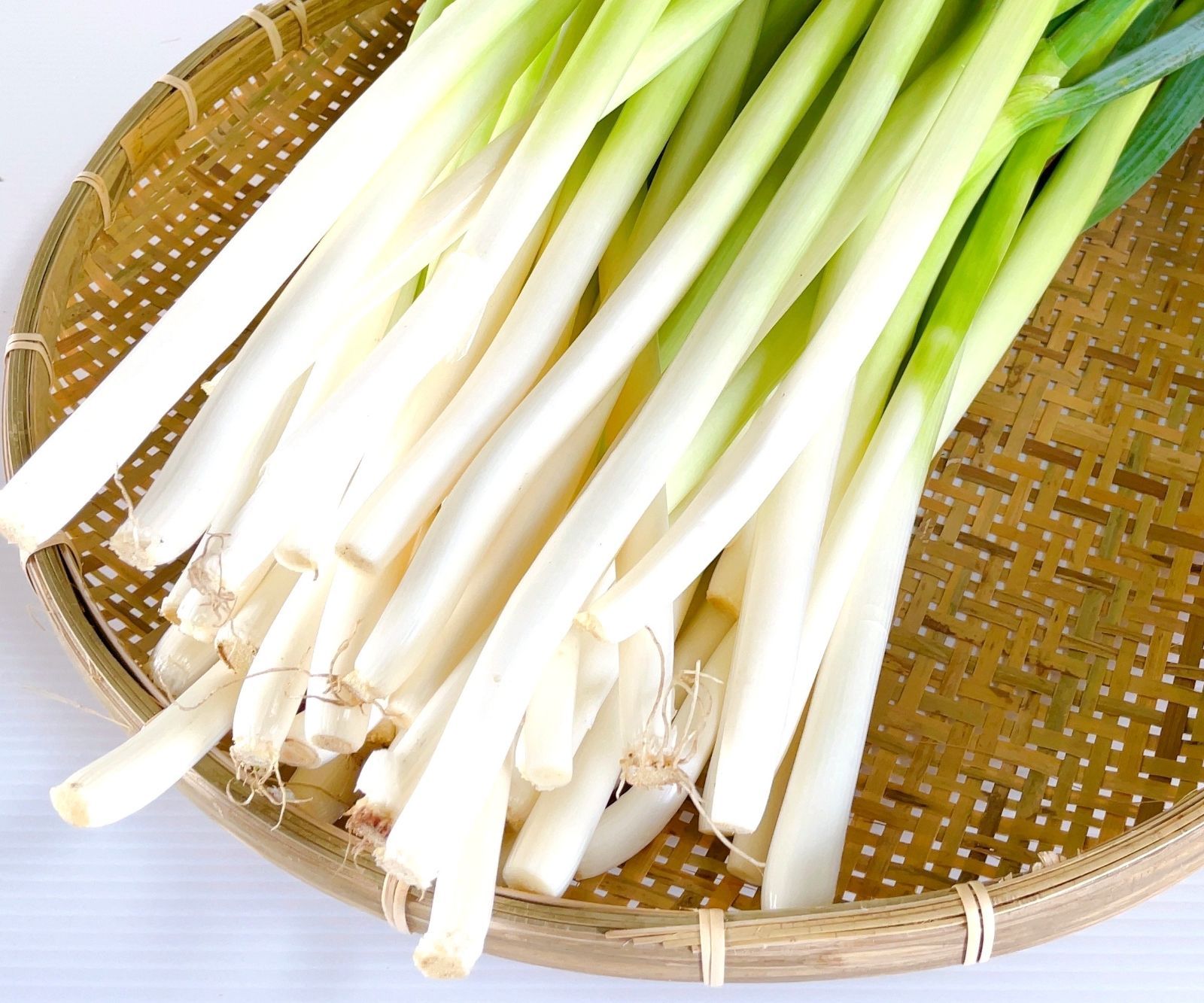 ねぎ★定期的に出品してます 食材詳細 | 業務用食材検索サイト 食材プロ