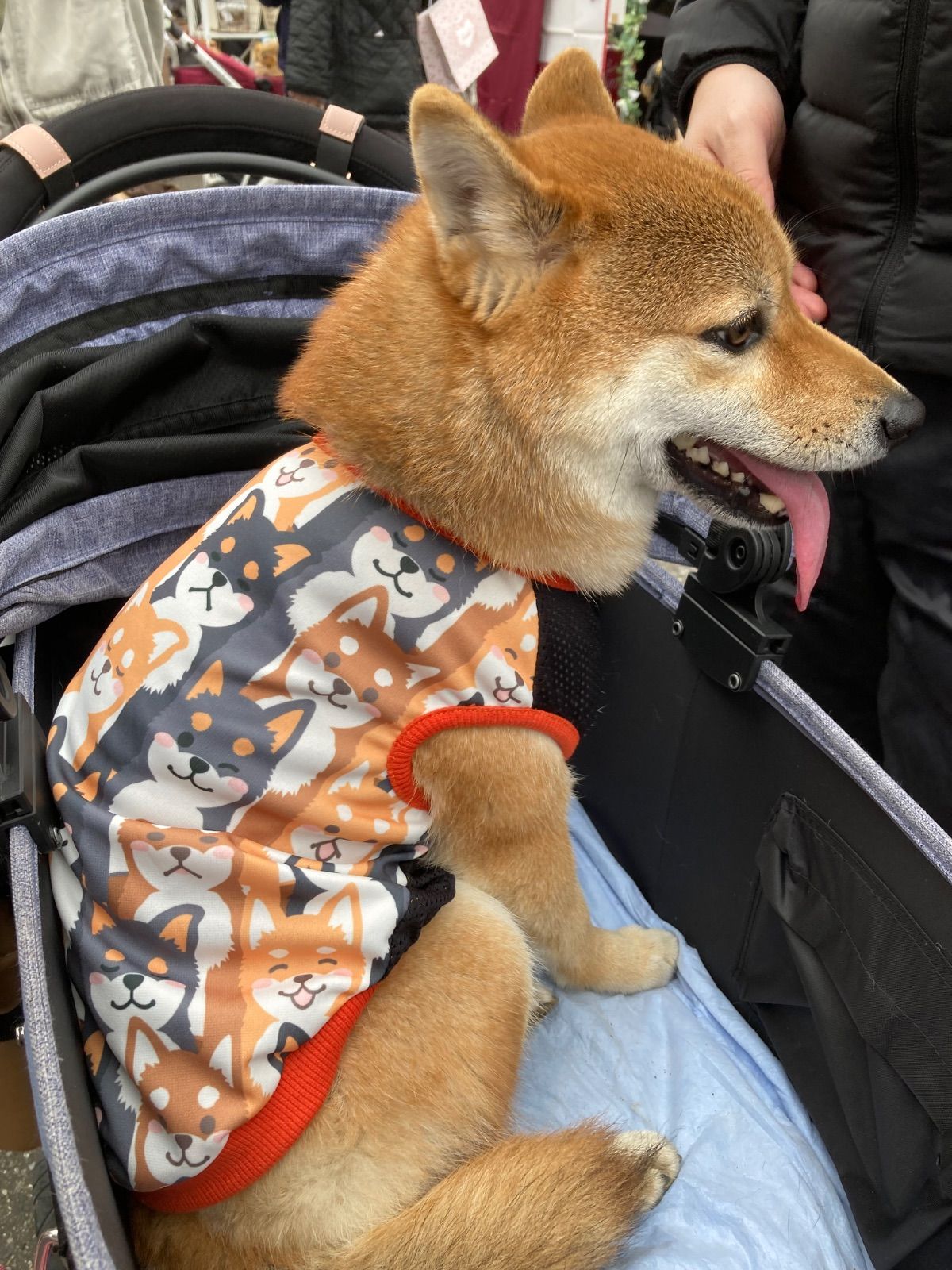 柴犬タンク・ハンドメイド犬服 犬の洋服 オーダーメイド 柴犬 豆柴