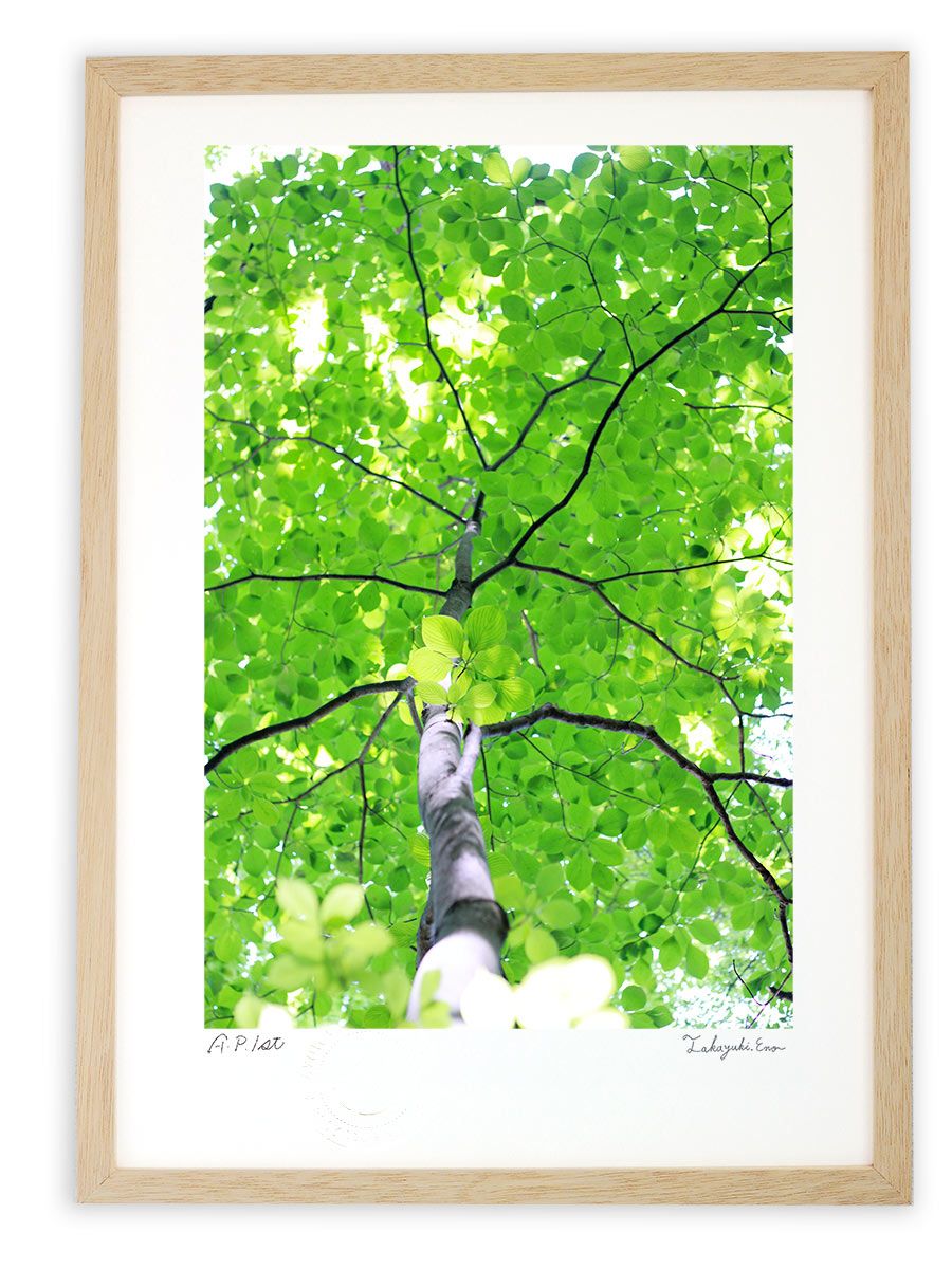 版画 村はずれの教会 グリンデルワルド 杉山修 No.211 版画 村はずれの