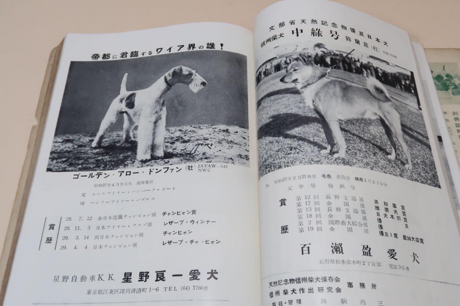 日本名犬写真大観・愛犬の友臨時増刊/昭和29年/日本の犬界が誇る