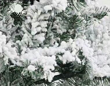 クリスマスツリーセット