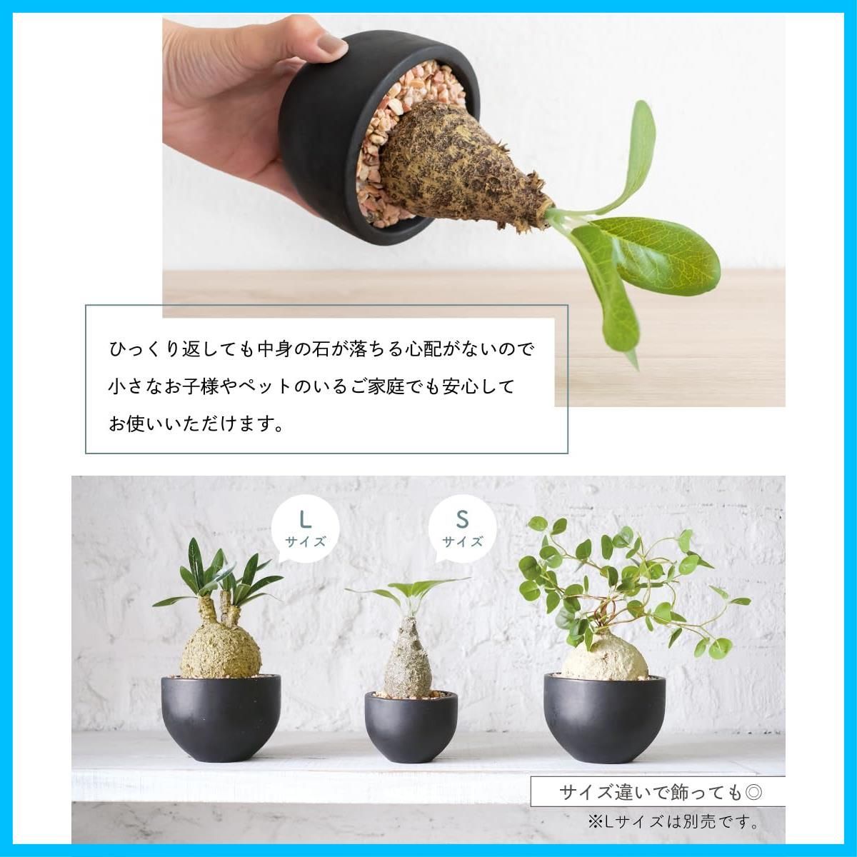 在庫 消臭アーティフィシャルグリーン